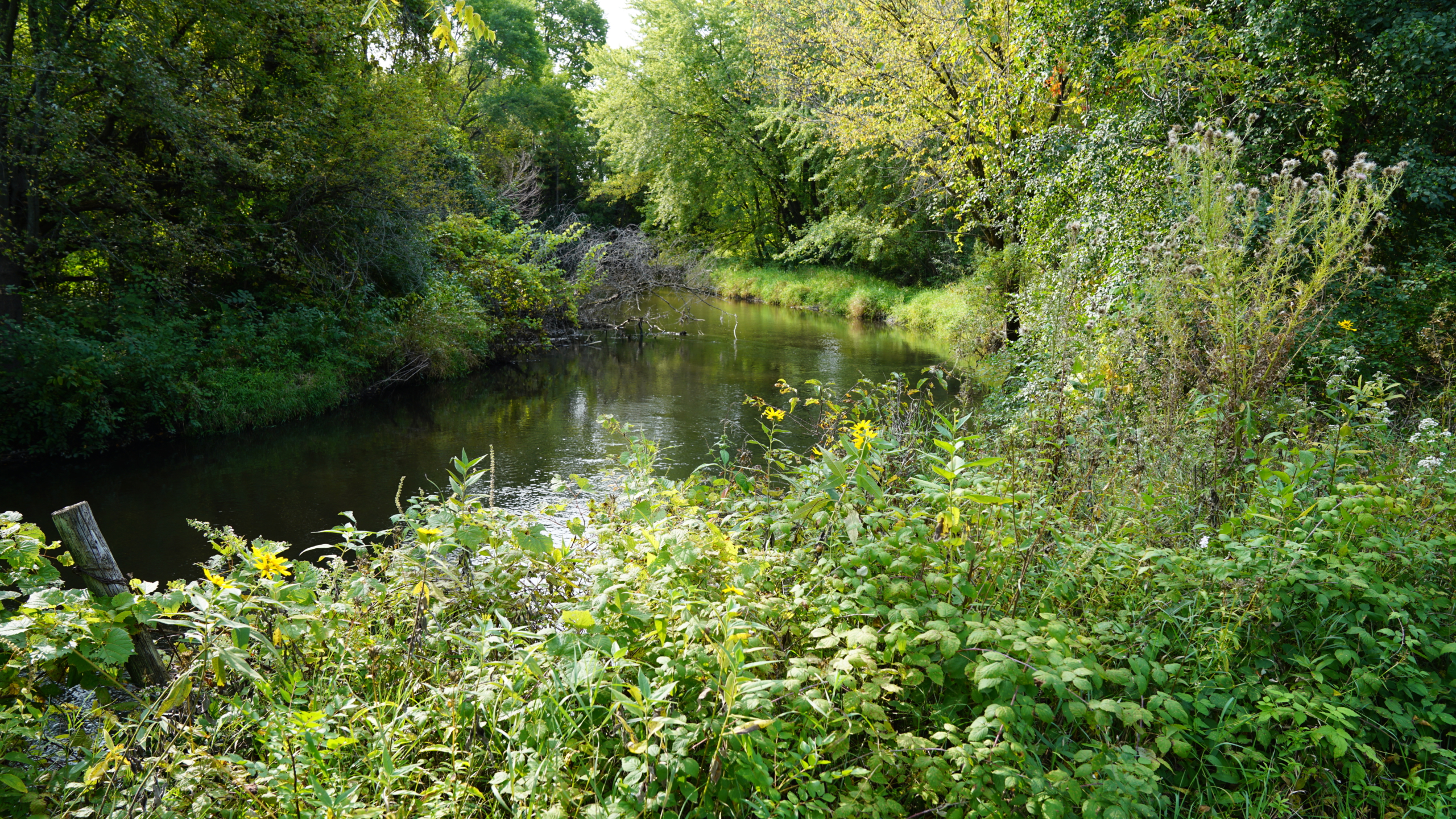 Vermillion River in Wyndham Hills